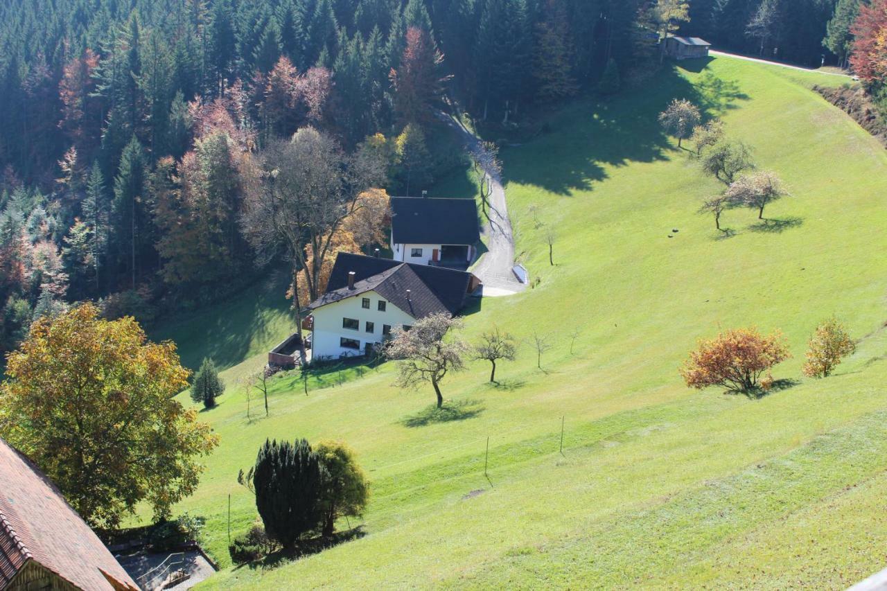 バート・ペーターシュタル・グリースバッハHaus Laetschアパートメント エクステリア 写真